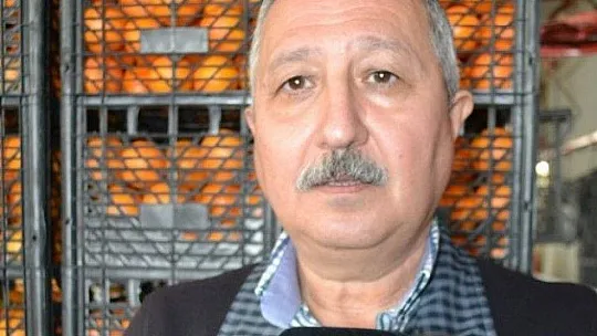 Fethiye bölgesinden günlük 2 bin ton domates gidiyor