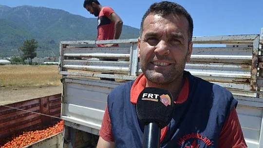 Domates salçaya gitmeye başladı