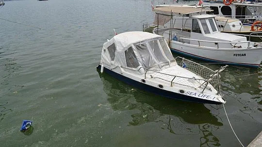 Fethiye körfezindeki sarılık polenlerden, çöpler insanlardan kaynaklanıyor!