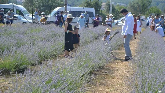 Fethiye'nin Koku Vadisi'nde İlk Hasat