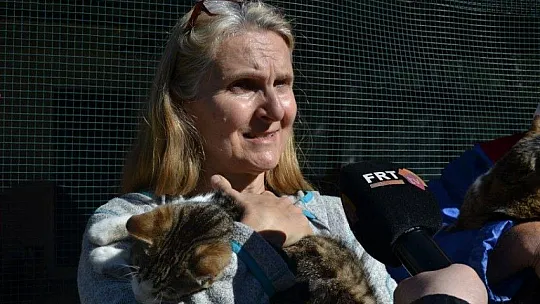 Üzümlü'de sokak hayvanlarına sahip çıktılar