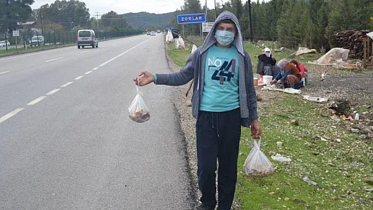 Çıntar mantarını hem satıyor hem de hediye ediyor