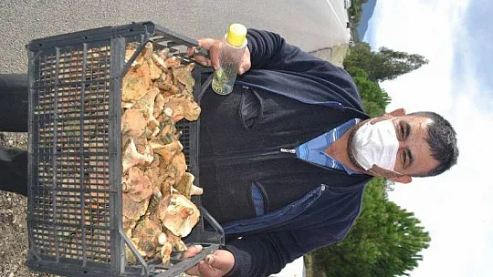 Çıntar mantarını hem satıyor hem de hediye ediyor