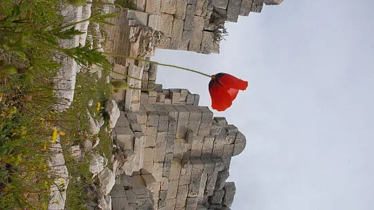 Patara Plajı ve Antik Kent Ayrılmalı