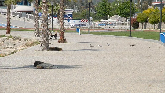 Fethiye'de Kısıtlama Sessizliği