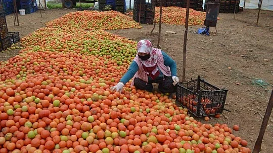Karayiğit 'Çiftçilerin kredileri yapılandırılmalı'