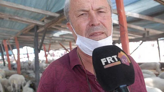 Pandemi Tedbirleri Altında Kurbanlık Satışları Başladı