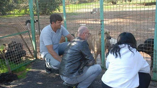 Fethiye Geçici Hayvan Bakım Merkezi'nin çehresi değişiyor