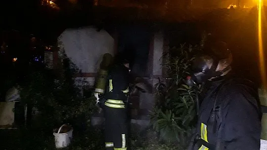 Dumandan etkilenen tavşana kalp masajı yaptılar