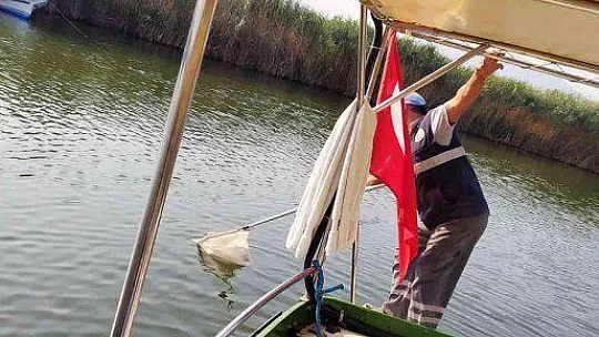 DÜNYACA ÜNLÜ DALYAN KANALINDA TEMİZLİK
