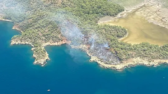 Katrancı Koyu'nda Orman Yangını