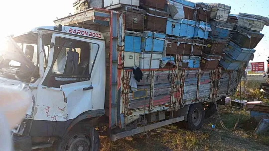 Arıcılara tır çarptı: 4 ölü, 1 yaralı