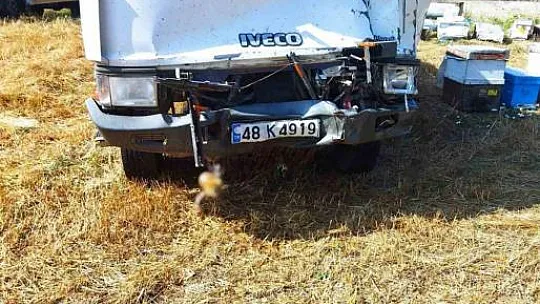 Arıcılara tır çarptı: 4 ölü, 1 yaralı