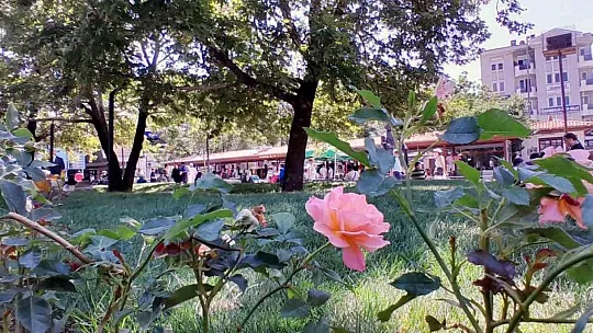 Efe parkı vatandaşların hizmetine açıldı
