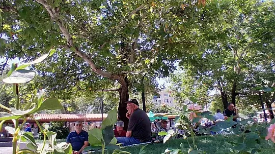 Efe parkı vatandaşların hizmetine açıldı