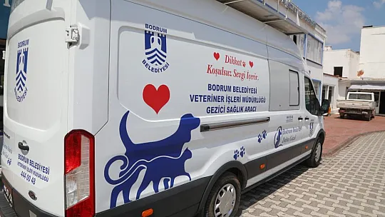 Belediye, Sokak Hayvanları İçin Çalışmaya Devam Ediyor