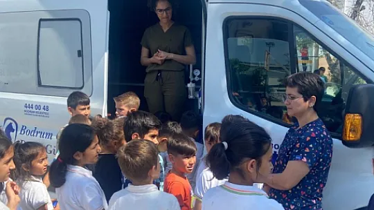 Belediye, Sokak Hayvanları İçin Çalışmaya Devam Ediyor