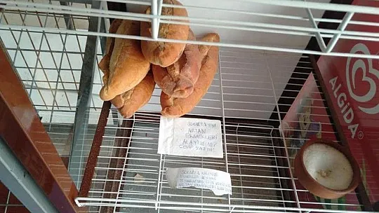 Ekmek dolabındaki not, Bodrum'un öteki yüzünü gösterdi
