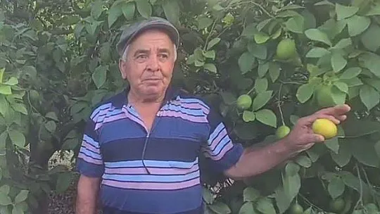 MİLLETVEKİLİ GÖKCAN, 75 YAŞINDAKİ LİMON ÜRETİCİSİ ZİYA AMCA'YI ZİYARET ETTİ