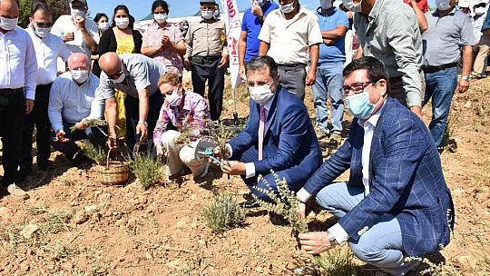 Endemik türlerden Muğla ekonomisine 62 milyon TL katkı