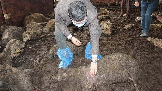 Esen ailesi yılın son günü dehşeti yaşadı