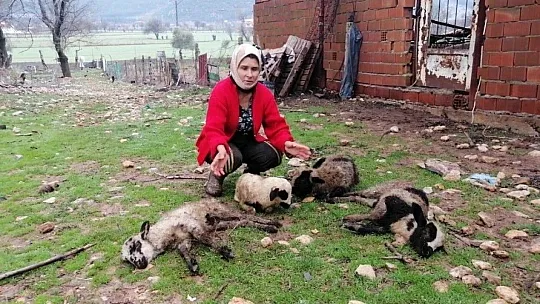 Esen ailesi yılın son günü dehşeti yaşadı