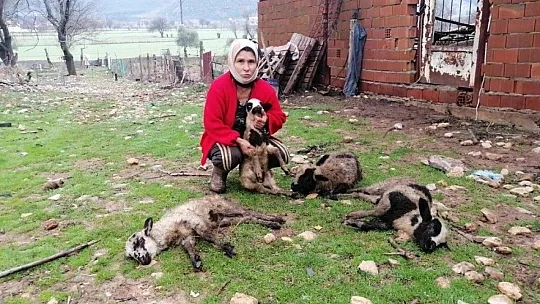 Esen ailesi yılın son günü dehşeti yaşadı