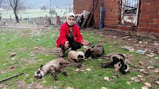 Esen ailesi yılın son günü dehşeti yaşadı
