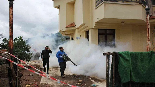 EV DEĞİL HAYVAN MEZARLIĞI