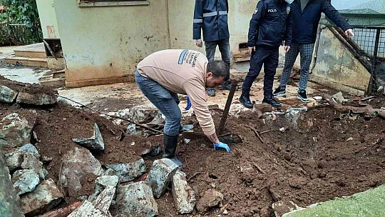 EV DEĞİL HAYVAN MEZARLIĞI