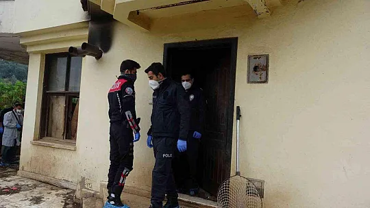 EV DEĞİL HAYVAN MEZARLIĞI