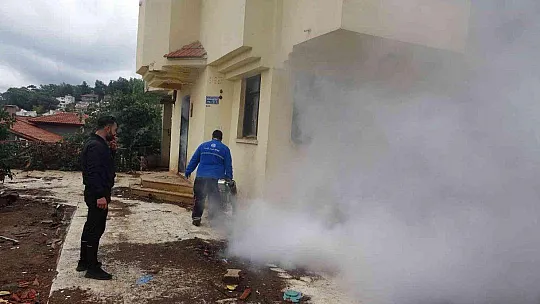 EV DEĞİL HAYVAN MEZARLIĞI