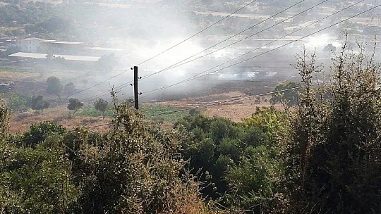 Ev ve ahırlara metreler kala söndürüldü