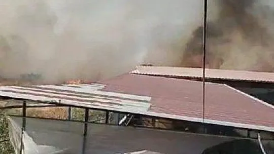 Ev ve ahırlara metreler kala söndürüldü