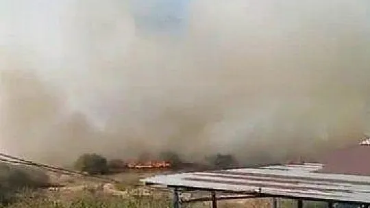 Ev ve ahırlara metreler kala söndürüldü