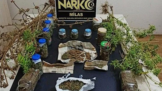Evden, bahçeden ve traktörden esrar çıktı
