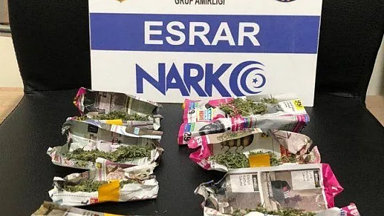 Evi uyuşturucu tarlasına çevirmiş