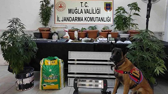 Evini uyuşturucu imalathanesine çevirmiş