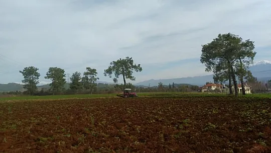 Çobanlar Koza Birliği Yolda