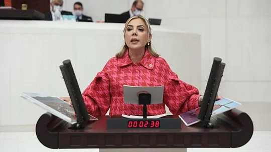 Gökcan, 'Muğla'daki çiftçilere de bedava elektrik versin'