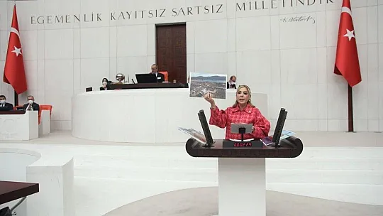Gökcan, 'Muğla'daki çiftçilere de bedava elektrik versin'
