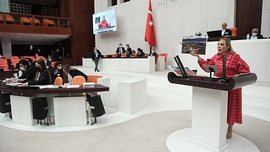 Gökcan, 'Muğla'daki çiftçilere de bedava elektrik versin'