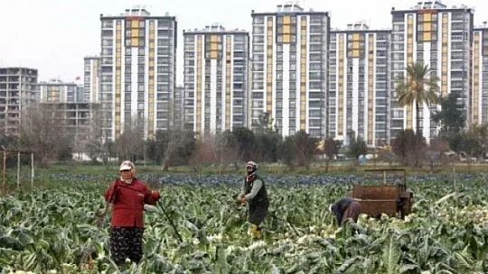 Başkan Karayiğit, 'Fethiye bakirliğini kaybetti'