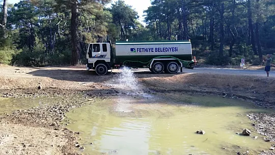 Fethiye Belediyesi'nden Yabani Hayvanlara Su