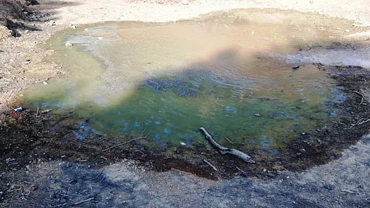 Fethiye Belediyesi'nden Yabani Hayvanlara Su