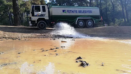Fethiye Belediyesi'nden Yabani Hayvanlara Su