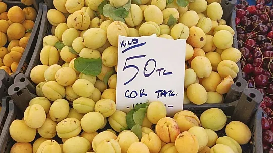Fethiye'de meyve fiyatları cep yakıyor