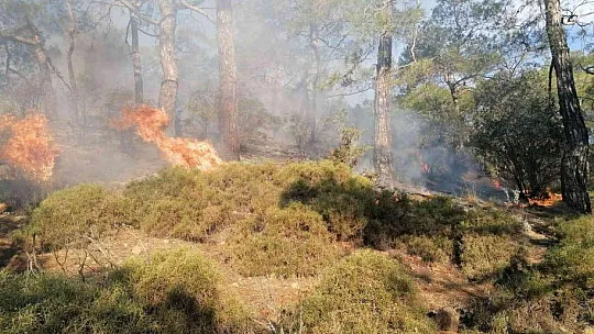 Fethiye'de orman yangınının yayılmasına jandarma engel oldu