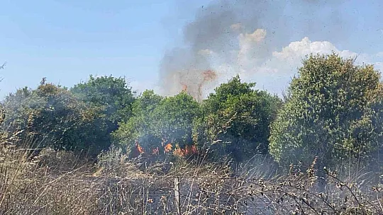 Fethiye'de otluk alanda çıkan yangın korkuttu