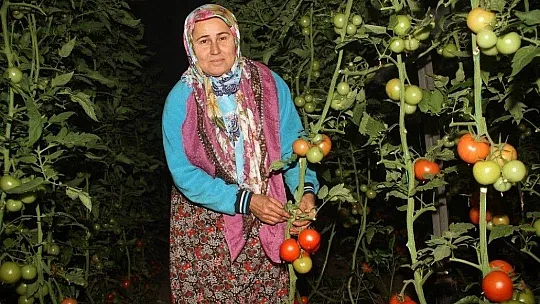 Fethiye'de sera üreticisinin sobalı don nöbeti